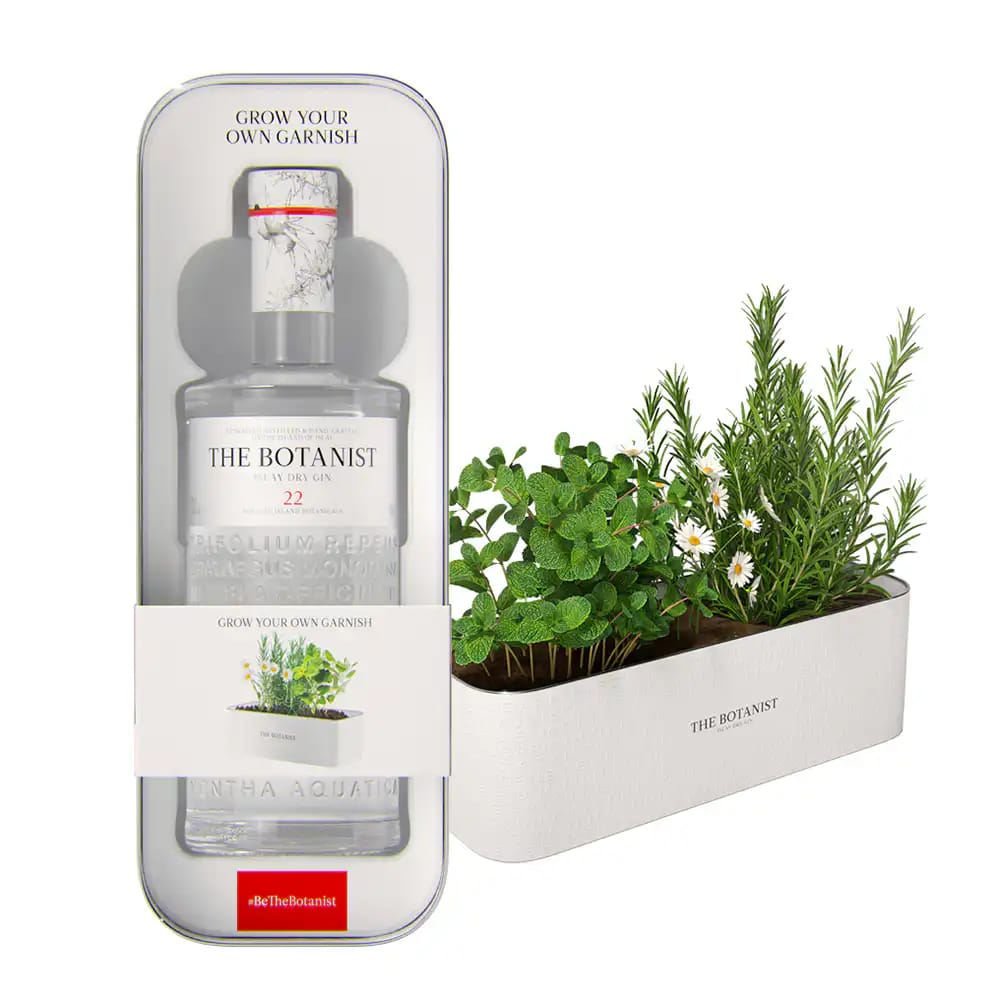 THE BOTANIST Gin Tin Planter