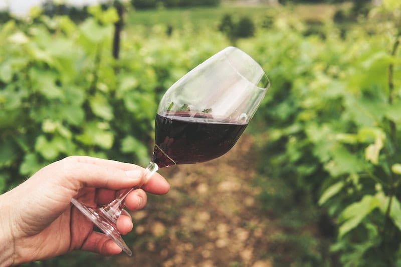 classic approach of holding wine glass