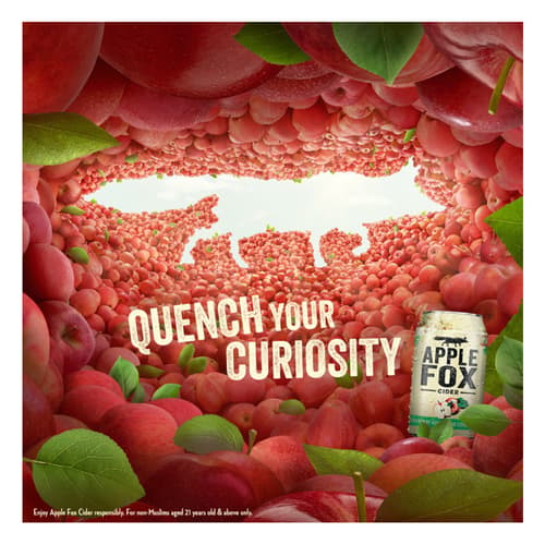 APPLE FOX (320ml x 24) 5