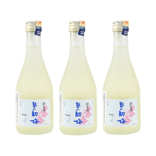 KOSHINO HATSUUME Junmai Sake Sarara 300ml 6