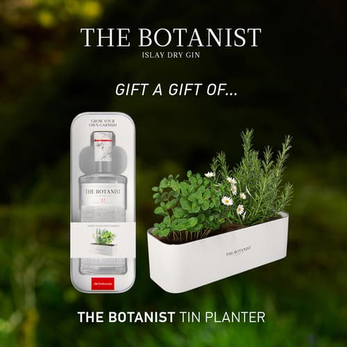 THE BOTANIST Gin Tin Planter